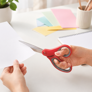 Ergonomic Stainless Steel Scissors — Single Pair