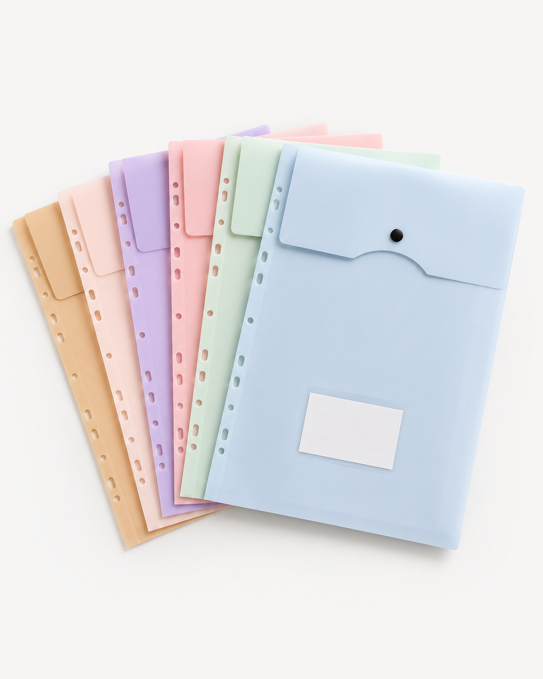 Pastel A4 Punched Document Wallets — Pack of 6